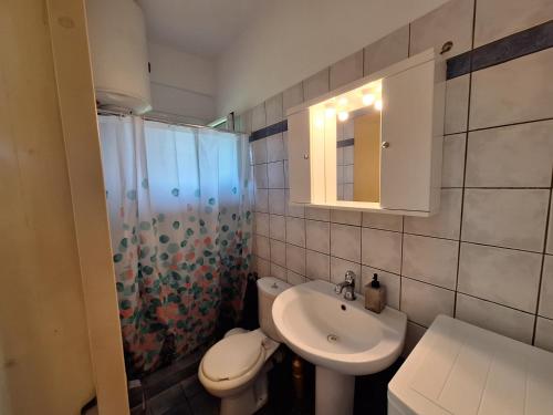 a bathroom with a sink and a toilet and a shower at Aloda Summer House in Roda