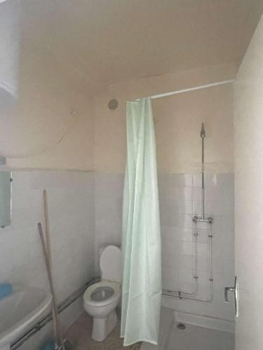 a bathroom with a toilet and a shower curtain at Bord de mer 4 F2 1chambre in Tigzirt