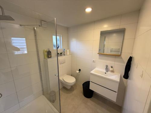 a bathroom with a shower and a toilet and a sink at Spa Chalet Veluwe Wellness with Private HOTTUB and SAUNA - Family Holiday House with Fenced Garden - Veluwe Holiday Putten in Putten