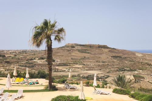 a palm tree and lounge chairs and a mountain at Gorgeous 2BR Gozo Apt with private balcony & Pool by 360 Estates in Żebbuġ