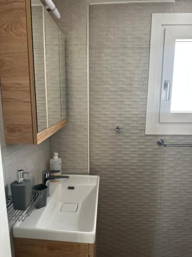 Vaporia Cozy Apartment Syros