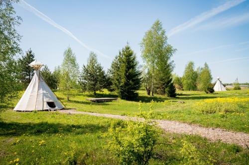 a teepee and a picnic table in a field at Briedžio sapnas in Sudervė
