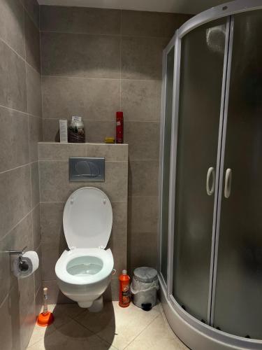 a bathroom with a toilet and a shower at Teuta Azure Apartment - Blue Horizont Complex, Sveti Stefan in Pržno