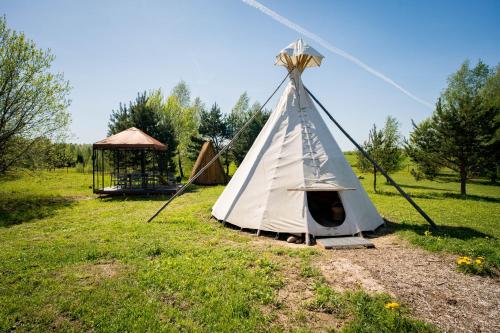 a teepee tent in a field with a gazebo at Briedžio sapnas in Sudervė