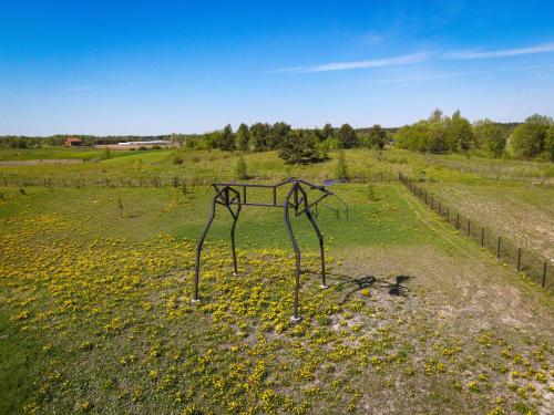 a metal sculpture in a field of flowers at Briedžio sapnas in Sudervė