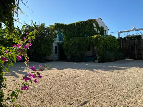 a house with pink flowers in front of a driveway at CABO BOHEMIA Tropical Garden Studios in Cabo San Lucas