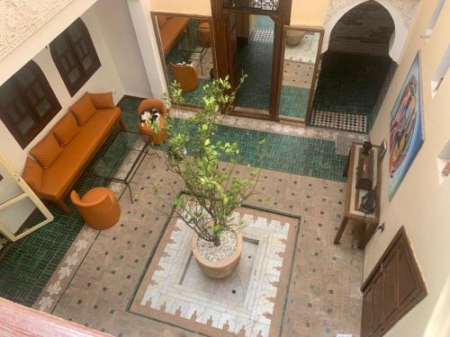 Una vista aérea de una casa con una planta en maceta. en Riad ka, en Marrakech