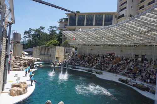 a crowd watching a show in a pool at a zoo at Morizuya in Toyooka