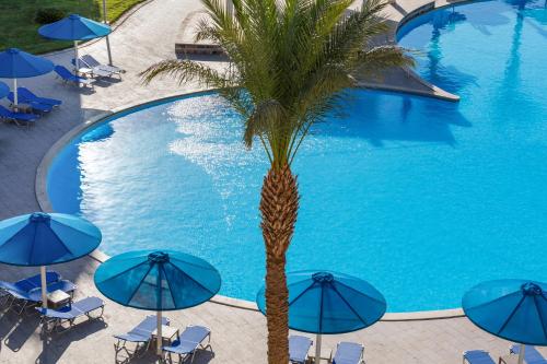 Beach Albatros Aqua Park - Hurghada — Swimming pool