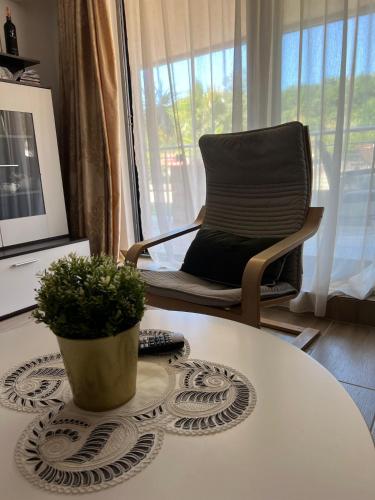 a living room with a chair and a table with a plant at Teuta Azure Apartment - Blue Horizont Complex, Sveti Stefan in Pržno