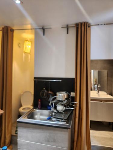 eine Küche mit Spüle und Arbeitsplatte in der Unterkunft Sana in Saint-Brieuc