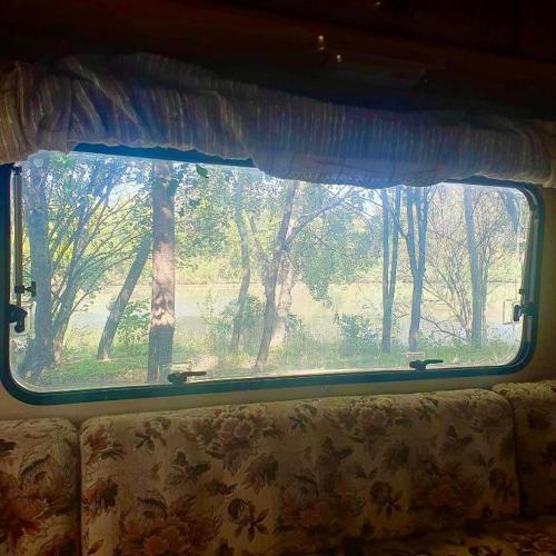 a window in a bus with a view of trees at Hacienda Caravan in Szentes