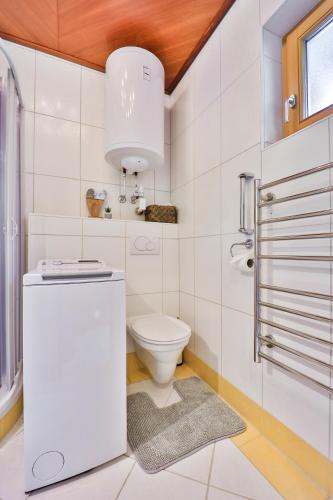 a white bathroom with a toilet and a sink at Winzig Apartment in Schladming