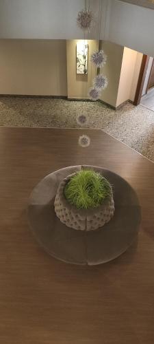 Φωτογραφία από το άλμπουμ του Dedepark Hotel σε Eskisehir