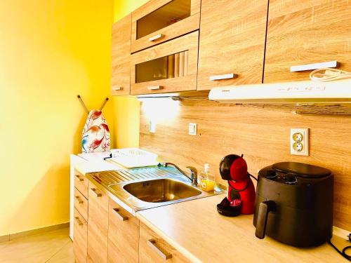 Una pequeña cocina con fregadero y microondas. en Stefaniya Apartments, en Sozopol