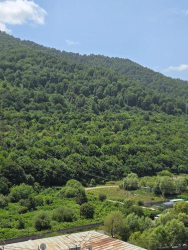 a view of a mountain with green trees at Evergreen Stay Dilijan in Dilijan