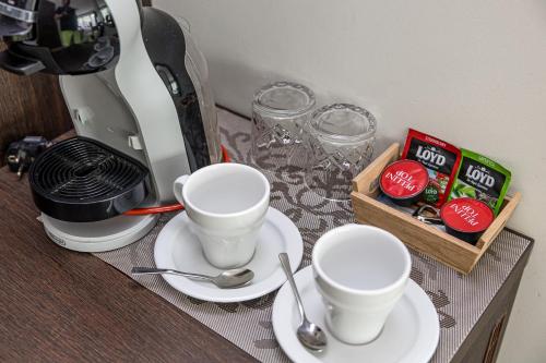 Kemudahan buat kopi dan teh di Vila Radailiai - Dinosaur Park