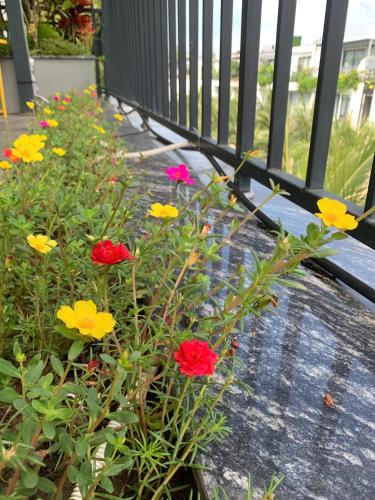 a garden with colorful flowers on a porch at Green Villa 5 phòng ngủ ở Flamingo Đại Lải Resort in Phúc Yên