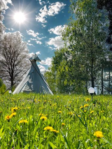 a tent in a field of grass with flowers at Briedžio sapnas in Sudervė