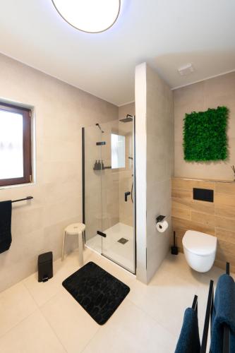 a bathroom with a glass shower and a toilet at Domček pri golfe in Skalica