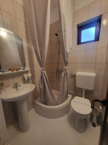 a bathroom with a toilet and a tub and a sink at Casa cu Brazi in Buşteni