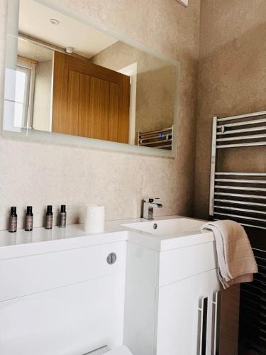 a bathroom with a white sink and a mirror at Thomas Arms Hotel in Llanelli