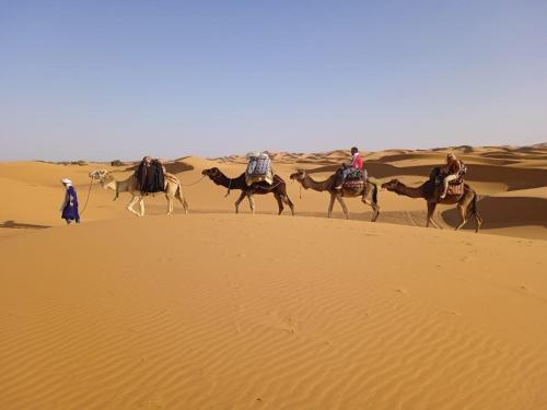 a group of people riding camels in the desert at Safari luxury camp in Merzouga
