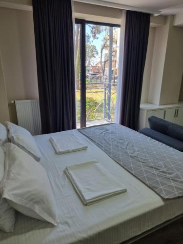 a bedroom with a large bed with a large window at Picasso in Shekvetili