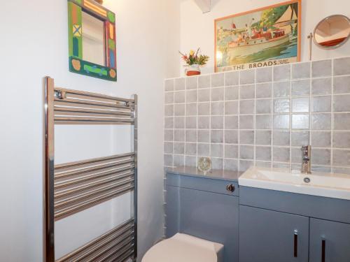 a bathroom with a toilet and a sink at Rosemaddon in Newquay