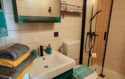 Barbat na RabuにあるHoliday Home Capella - Rab by Villas Guideの洗面台、トイレ、シャワー付きのバスルーム