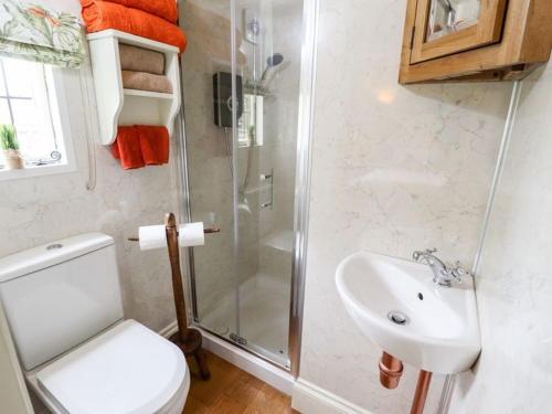 une salle de bain avec toilettes, douche et lavabo dans l'établissement Natures Nook - Luxury XL Wagon Louth Lincolnshire, à Louth