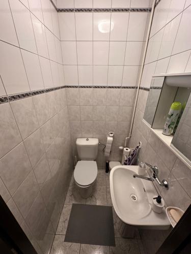 a small bathroom with a toilet and a sink at Oaza spokoju - Szczyrk - Spacerowa 32 in Szczyrk