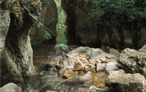 a stream of water with rocks and a tree at ITALO b&b in Raiano