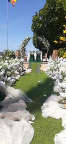 a row of white flowers in a garden at Kadolana Hotel and Restaurant in Puttalam