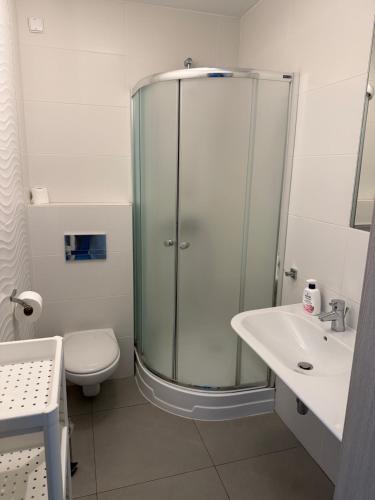 a bathroom with a shower and a toilet and a sink at Apartamenty Wilczyca in Wilczyn