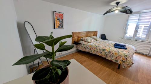 Appartement centre de Barr