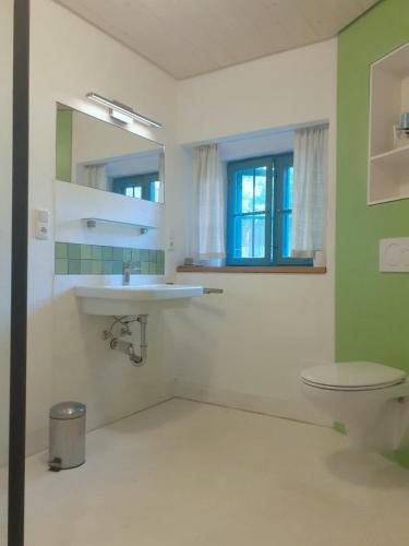 a bathroom with a sink and a toilet at Ferienwohnung Terwey in Geisenhausen