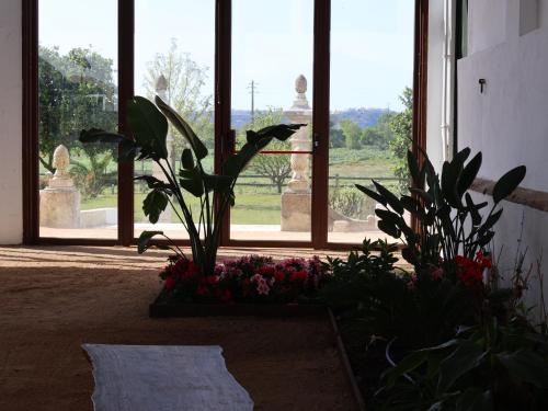 Taman di luar Pátio das Ribeiras