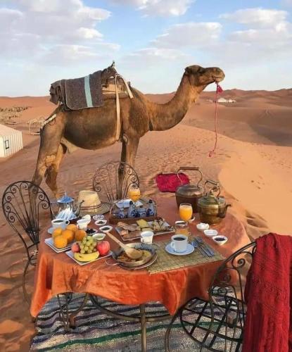 una mesa con un camello parado en el desierto en Dar itran, en Mhamid