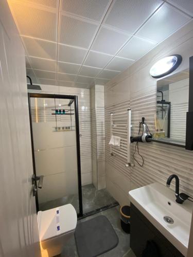 a bathroom with a shower and a toilet and a sink at İngolaSuit in Çamlıhemşin