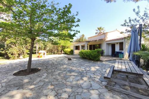 a dog sitting in front of a house at Ecological house with solar electricity in Ajaccio