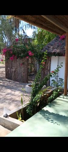 Jardí fora de Pahali