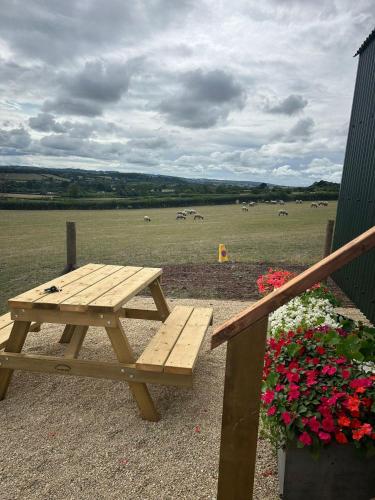 1 Bed Hut - Sleeps 2 - Parking - Smoking photo 5