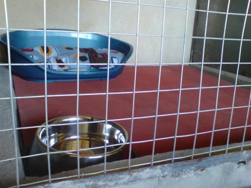 a cage with a bowl and a dog bowl at ХОТЕЛ за кучета Киноложки център СТИФ in Bŭnzareto