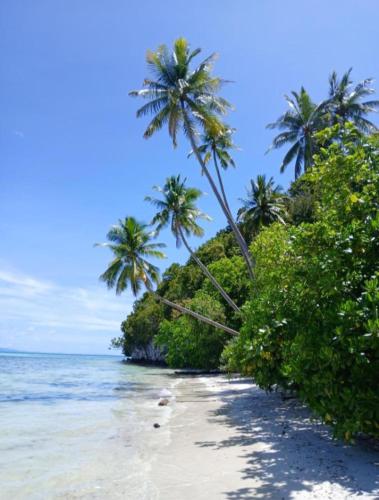 a beach with palm trees and the ocean at Intum Homestay in Kri