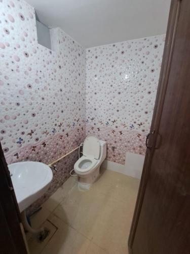 グルガオンにあるGreen Bacchus staysのトイレと洗面台のある小さなバスルーム
