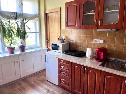 Una cocina o cocineta en Apartmán Flora