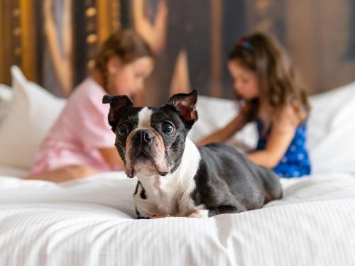 a small dog sitting on a bed with two girls at DoubleTree by Hilton Wroclaw in Wrocław