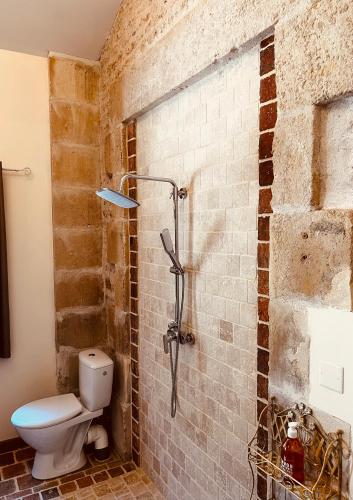 a bathroom with a toilet and a shower at Mini gîte royal in Sainte-Gemme-la-Plaine