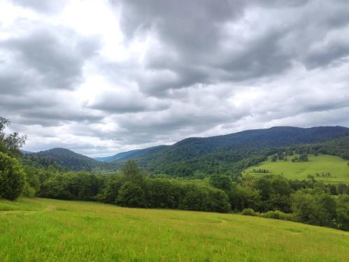 a green field with trees and mountains in the background at Dwernikowe Wzgórze in Dwernik